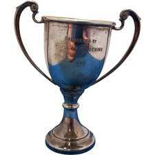 Vintage 1955 silver for sale  CHICHESTER
