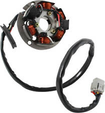 Lichtmaschine stator spulen gebraucht kaufen  Landsberg