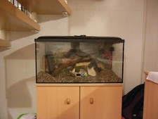 Aquarium 100 liter gebraucht kaufen  Nordhausen