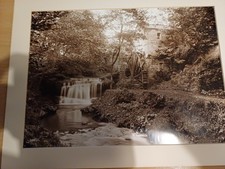 Large frank meadow for sale Large frank meadow for sale  LINCOLN