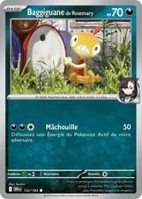 Carte pokémon baggiguane d'occasion  Villeneuve-d'Ascq-