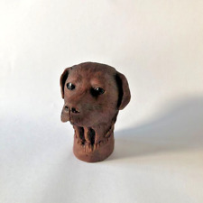 Chocolate labrador cast for sale  KIRKCUDBRIGHT