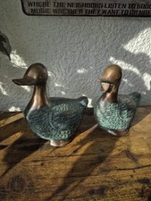Entenpaar gebraucht kaufen  Bad Emstal