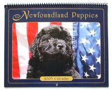 2005 newfoundland dog for sale  Bethel