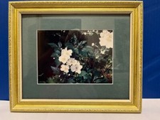 Framed photo anemones for sale  Camillus