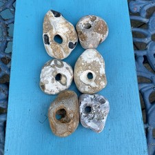 Six natural hag for sale  RYE