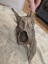 reptile aquariums for sale reptile aquariums for sale Saline