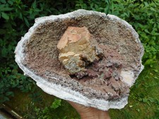 Große druse idar gebraucht kaufen  Ebertsheim