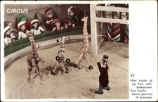 Zirkus manege holzfiguren gebraucht kaufen  Berlin