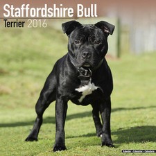 Calendrier 2016 staffordshire d'occasion  Troyes