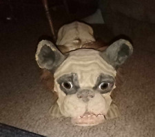 toy french bulldog for sale  La Grange