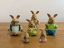 Family 7 rabbits for sale  BELFAST