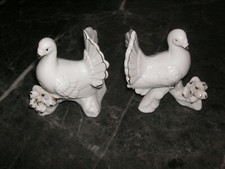 Taubenpaar hochzeitstauben ker gebraucht kaufen  Lotte