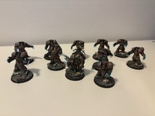 Legiones astartes cataphractii gebraucht kaufen  Butzbach