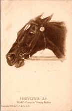 Cartão postal vintage T59 Harvester, campeão mundial cavalo garanhão trotador comprar usado  Enviando para Brazil