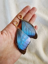 Schmetterling hrringe echt gebraucht kaufen  Köln