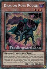 Dragon rose rouge d'occasion  France
