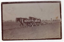Kent faversham farming for sale  NORWICH