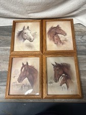 Ruane manning horse for sale  Nevada