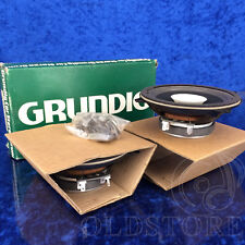 Grundig 13.1 coppia usato  Mezzolombardo