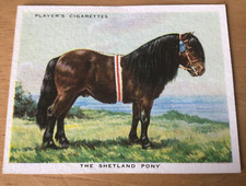John player cigarette for sale  NORTHALLERTON