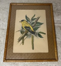Vintage american goldfinch for sale  Newton Falls