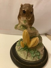 Teviotdale harvest mouse for sale Teviotdale harvest mouse for sale  NORWICH