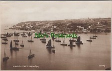 Devon postcard brixham for sale  WATERLOOVILLE