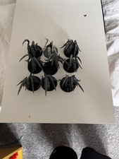 Von ryan leapers for sale  TIVERTON
