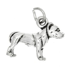 Sterling silver large for sale  Duncan