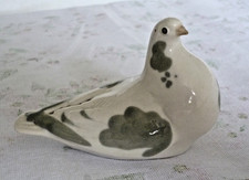 dove pigeon birds for sale dove pigeon birds for sale NORWICH