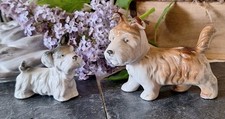 Porzellanfiguren porzellanhund gebraucht kaufen  Rudolstadt