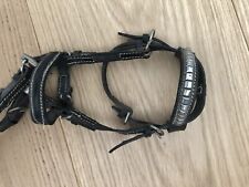 Cavallo finimenti collezione usato  Varese