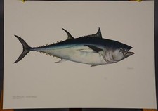 Plakat poster lehrtafel gebraucht kaufen  Berghülen