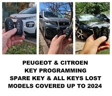 Peugeot citroen key for sale  WELWYN GARDEN CITY