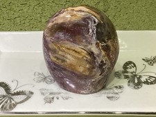 Crystal petrified wood for sale  SWINDON