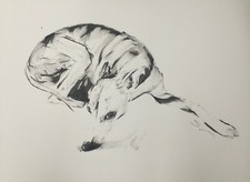 Large original signed for sale  WELLS