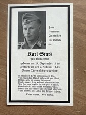 Sterbebild festung thorn gebraucht kaufen  Deutschland