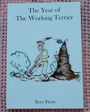 Year working terrier for sale  LONDON