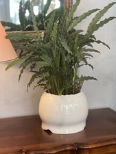 Superbe cache pot d'occasion  Grenoble-