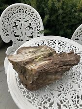 Huge petrified wood for sale  Veradale