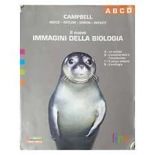 Campbell reece taylor usato  Taranto