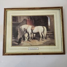 Prince george favourites for sale  COALVILLE