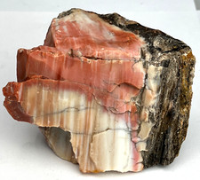 Arizona petrified wood for sale  La Mesa