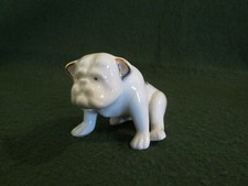 Bill sykes dog for sale  STOURBRIDGE