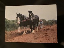 Used postcard roy for sale  PLYMOUTH
