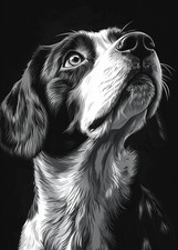 Plakat 50x70cm  Portret Zwierząt do Salonu | Beagle 2 | Czarno Białe, używany na sprzedaż  PL