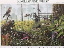 Nature america longleaf for sale  DERBY
