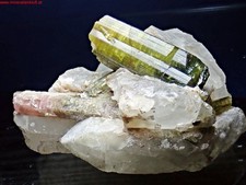 ELBAITE TOURMALINE crystal on Quartz Turmalin Kristall MINAS GERAIS BRASILIEN comprar usado  Enviando para Brazil