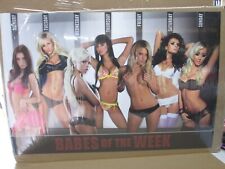 Babes week 2011 for sale  Covina